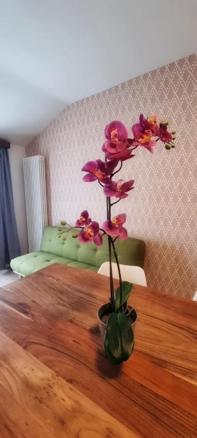 Casa Barcelli Sport & Family Apartments Torbole Sul Garda Luaran gambar